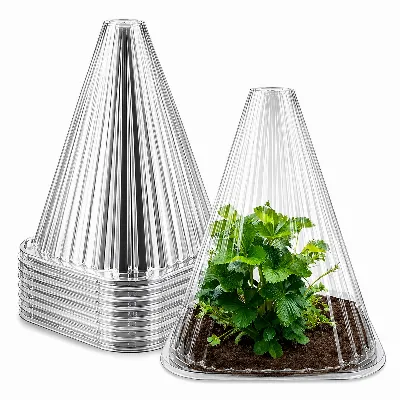Klosz Osłona 22cm do Roślin Sadzonek Szklarnia Klosze Zabezpieczające 10szt